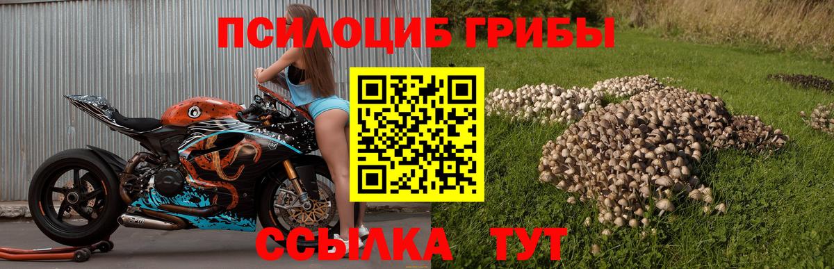 Псилоцибиновые грибы прущие грибы Лангепас